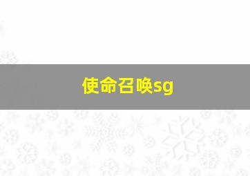 使命召唤sg