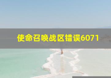 使命召唤战区错误6071