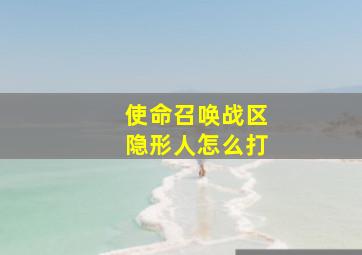 使命召唤战区隐形人怎么打