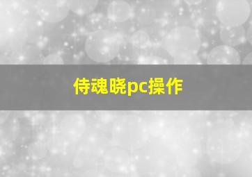 侍魂晓pc操作