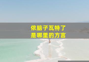 侬脑子瓦特了是哪里的方言