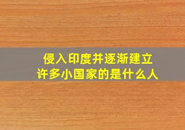 侵入印度并逐渐建立许多小国家的是什么人