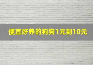 便宜好养的狗狗1元到10元