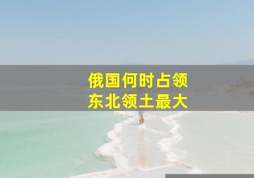 俄国何时占领东北领土最大