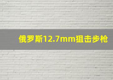 俄罗斯12.7mm狙击步枪