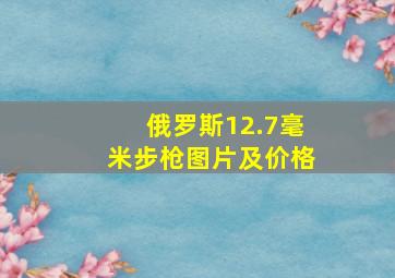 俄罗斯12.7毫米步枪图片及价格