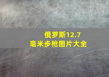 俄罗斯12.7毫米步枪图片大全