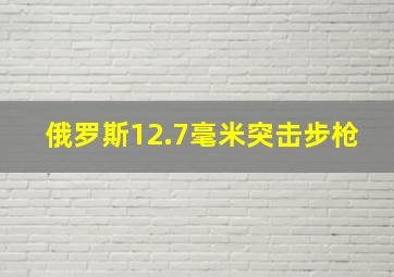 俄罗斯12.7毫米突击步枪