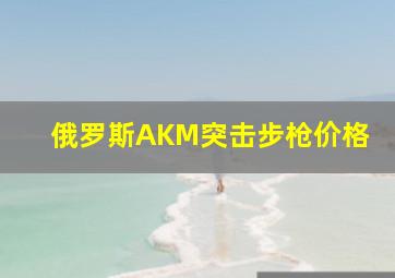 俄罗斯AKM突击步枪价格