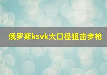 俄罗斯ksvk大口径狙击步枪