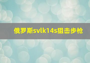 俄罗斯svlk14s狙击步枪