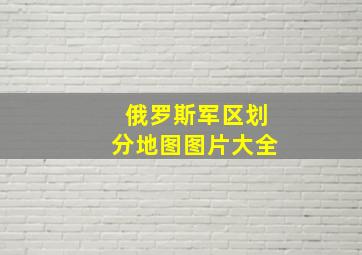 俄罗斯军区划分地图图片大全