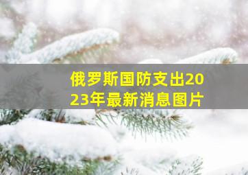 俄罗斯国防支出2023年最新消息图片