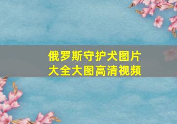 俄罗斯守护犬图片大全大图高清视频