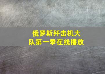 俄罗斯歼击机大队第一季在线播放