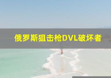 俄罗斯狙击枪DVL破坏者