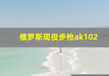 俄罗斯现役步枪ak102