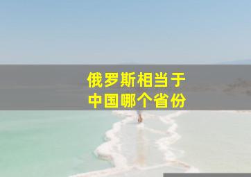 俄罗斯相当于中国哪个省份