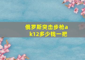 俄罗斯突击步枪ak12多少钱一把