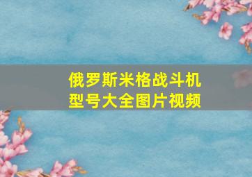 俄罗斯米格战斗机型号大全图片视频