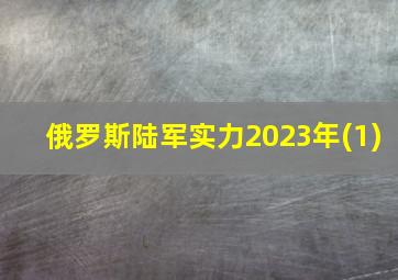 俄罗斯陆军实力2023年(1)