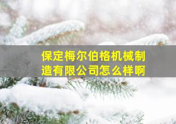 保定梅尔伯格机械制造有限公司怎么样啊