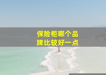 保险柜哪个品牌比较好一点