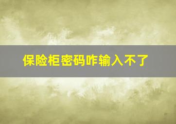 保险柜密码咋输入不了