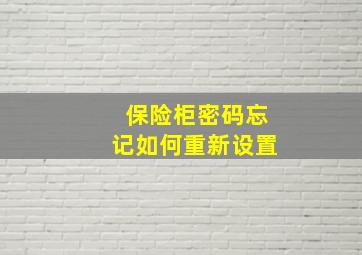 保险柜密码忘记如何重新设置