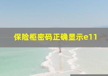 保险柜密码正确显示e11