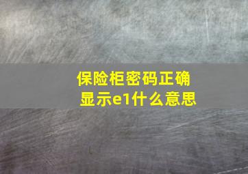 保险柜密码正确显示e1什么意思