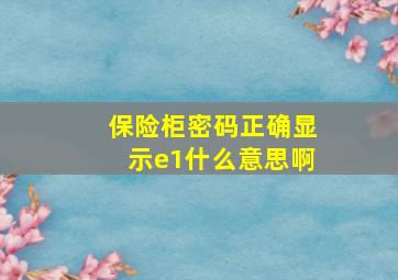 保险柜密码正确显示e1什么意思啊