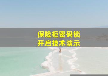 保险柜密码锁开启技术演示