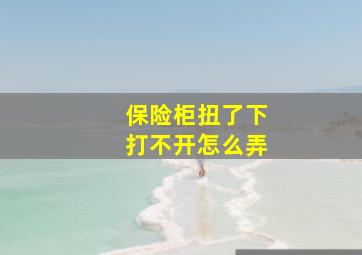 保险柜扭了下打不开怎么弄