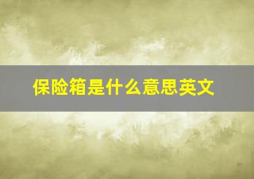 保险箱是什么意思英文