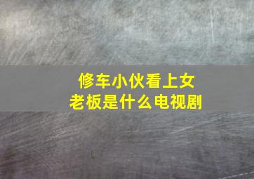 修车小伙看上女老板是什么电视剧