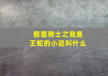 假面骑士之我是王蛇的小说叫什么