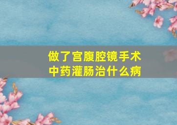 做了宫腹腔镜手术中药灌肠治什么病