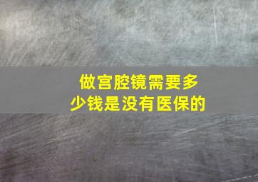 做宫腔镜需要多少钱是没有医保的