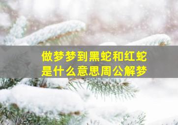 做梦梦到黑蛇和红蛇是什么意思周公解梦