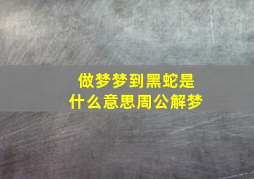 做梦梦到黑蛇是什么意思周公解梦