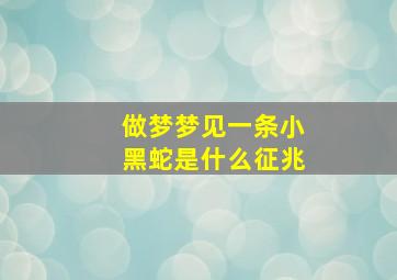 做梦梦见一条小黑蛇是什么征兆