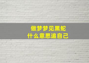 做梦梦见黑蛇什么意思追自己