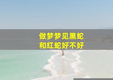 做梦梦见黑蛇和红蛇好不好