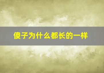 傻子为什么都长的一样