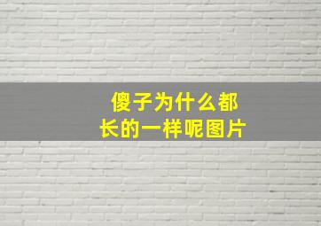 傻子为什么都长的一样呢图片