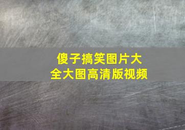 傻子搞笑图片大全大图高清版视频