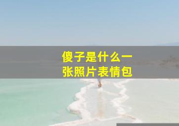 傻子是什么一张照片表情包