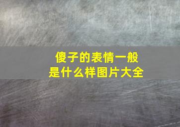 傻子的表情一般是什么样图片大全