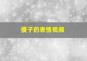 傻子的表情视频